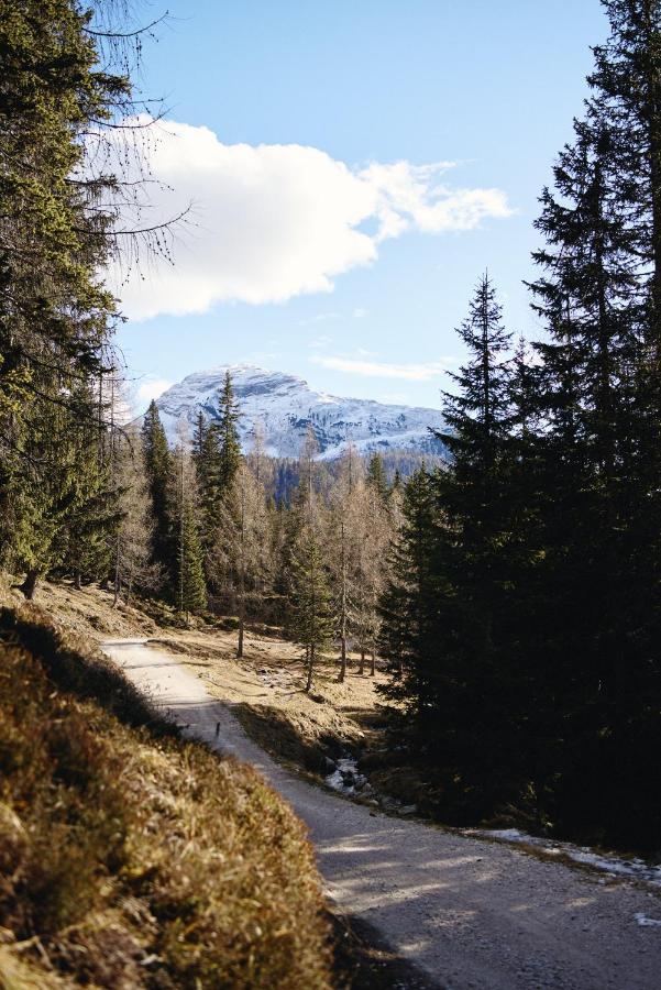 הוילה קורטינה ד'אמפזו Rifugio Malga Ra Stua מראה חיצוני תמונה